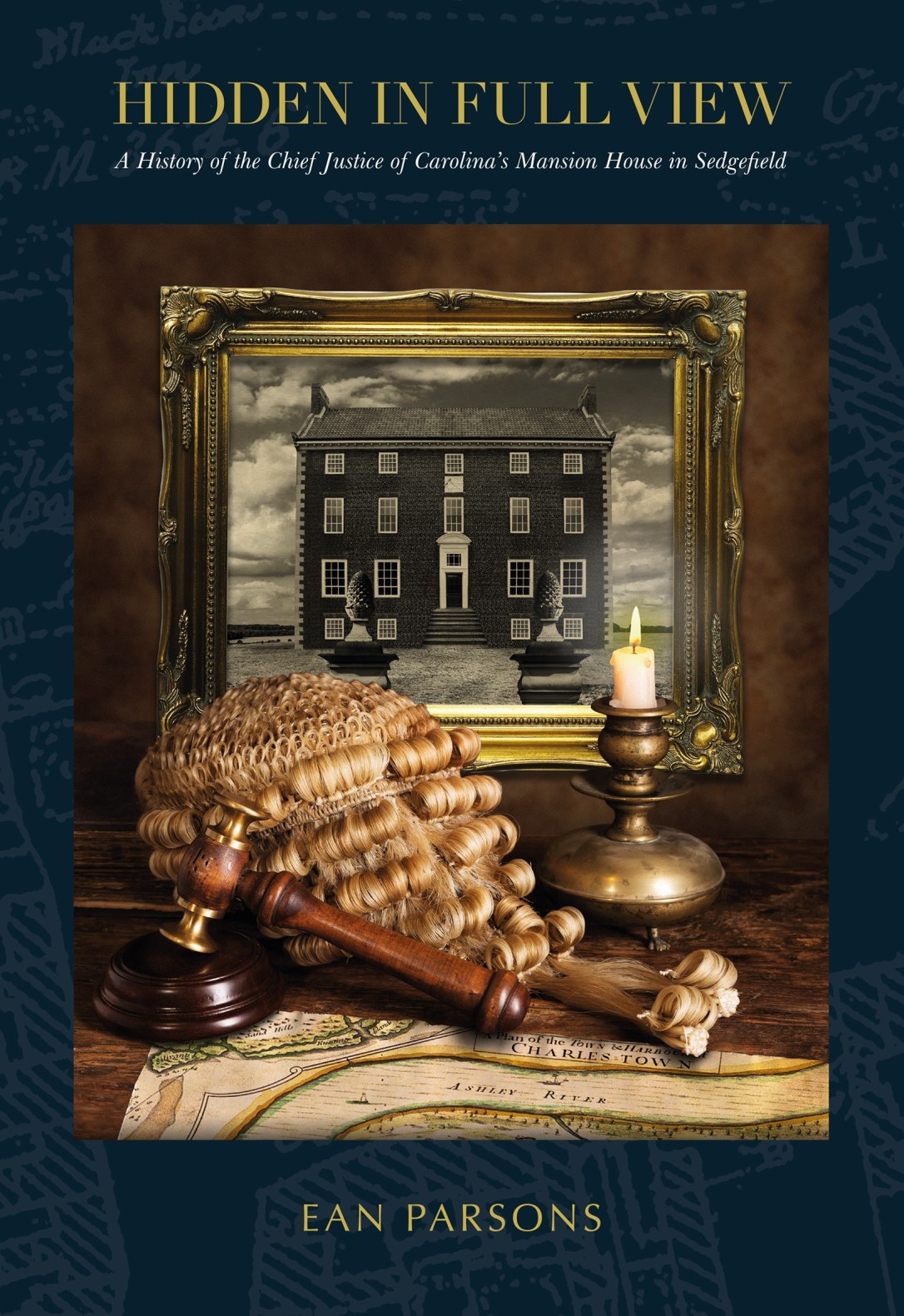 The cover of Hidden in Full View